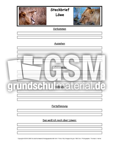 Löwe-Tiersteckbriefvorlage.pdf